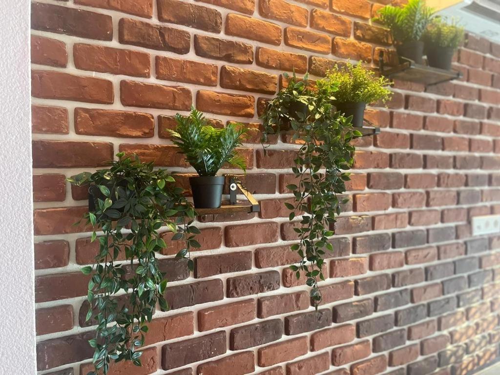 Luxurioese Loft Mit Garten Naehe Duesseldorf Messe Krefeld Kültér fotó